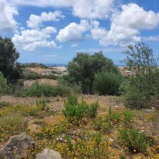 0 bedroom Land in Alcabideche, Cascais