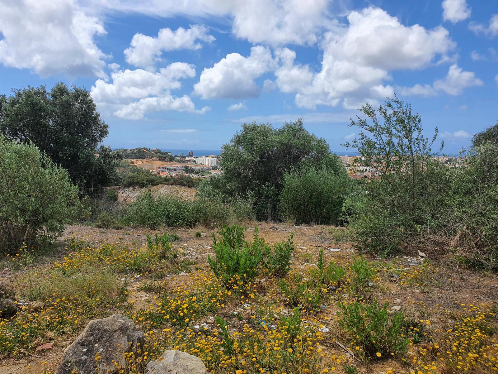 0 bedroom Land in Alcabideche, Cascais